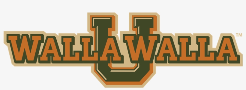 2016 Intramural Basketball Standings - Calligraphy, transparent png