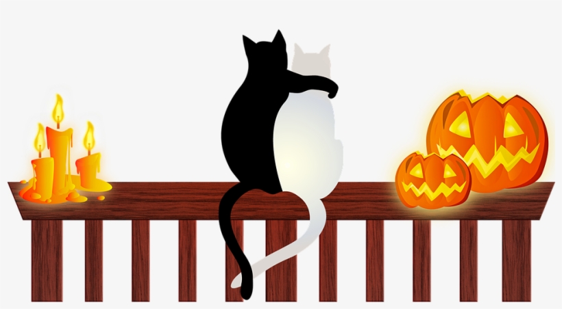 Keep Your Cat Safe This Halloween - Halloween Cats, transparent png