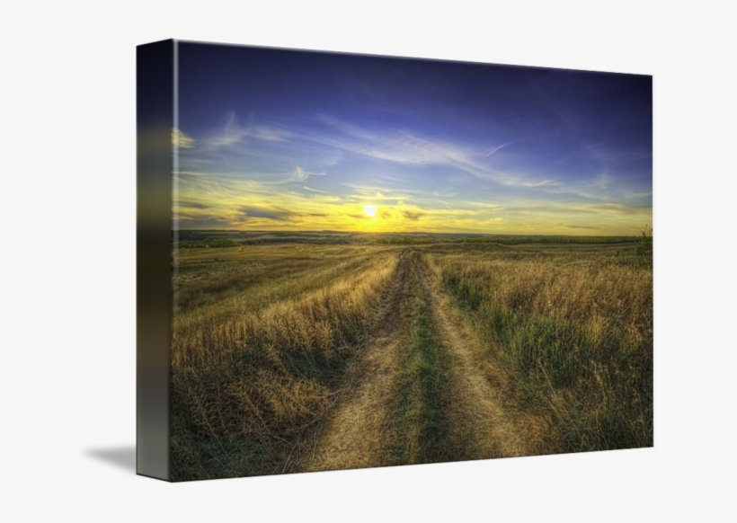 Country Road Hdr By Myron Watamaniuk - Field, transparent png