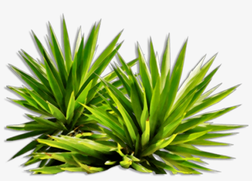 Ftestickers Flowers Sticker By Pennyann Report Abuse, transparent png