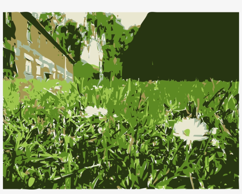 Computer Icons Flower Plants Lawn Shrub - Hymenocallis Speciosa, transparent png