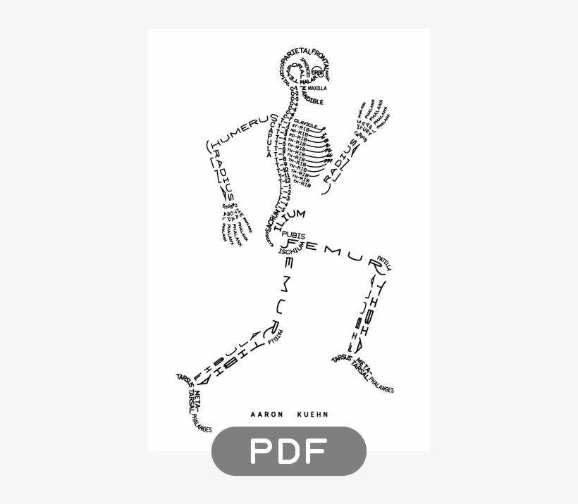 Image Of Skeleton Typogram - Easy Skeletal System Model, transparent png