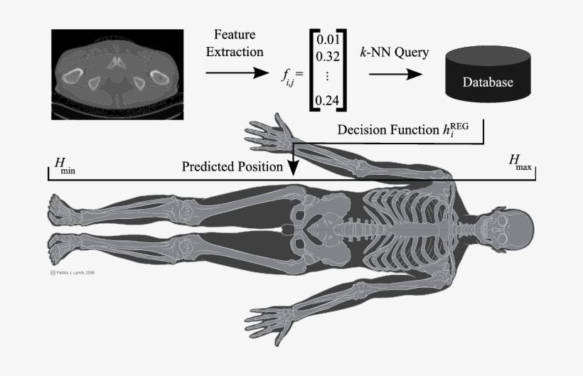 Taken From Patrick J - Kuk Sool Won, transparent png