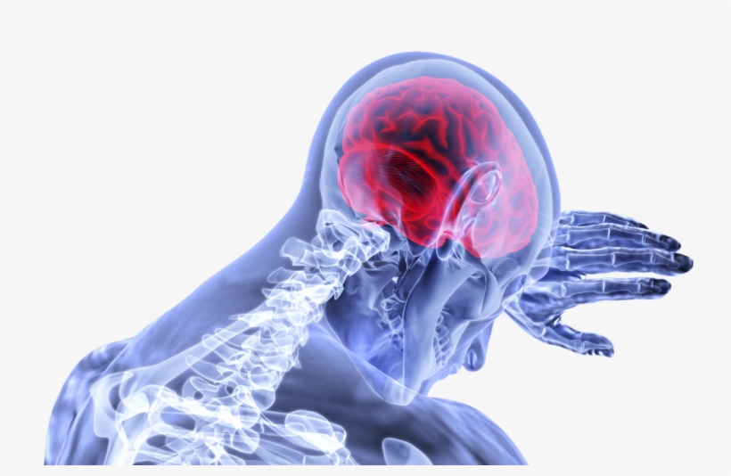 Special Monthly Compensation Series - Doenças Do Sistema Nervoso, transparent png