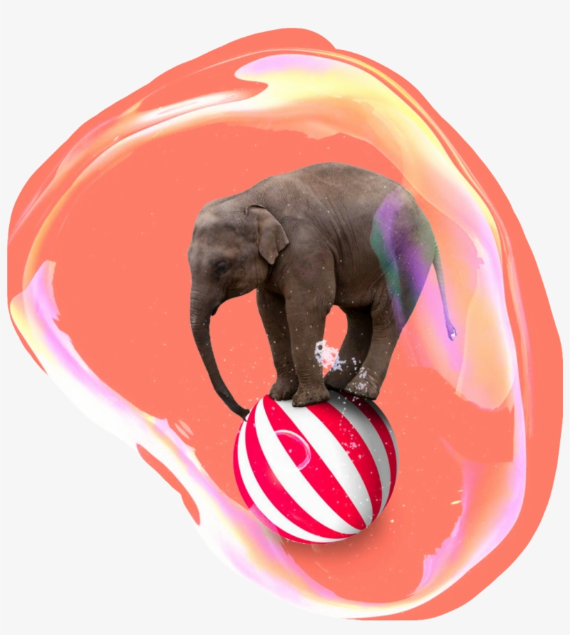 Elephant On A Ball, transparent png