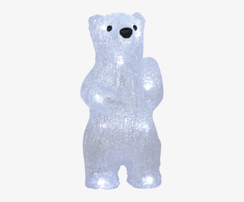 Polar Bear, transparent png