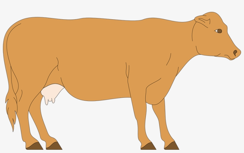 Cow Livestock Cattle - Clip Art Brown Cow, transparent png
