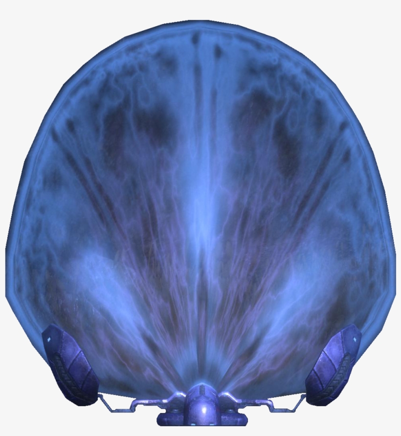 Covenant Portable Shield - Marine Invertebrates, transparent png