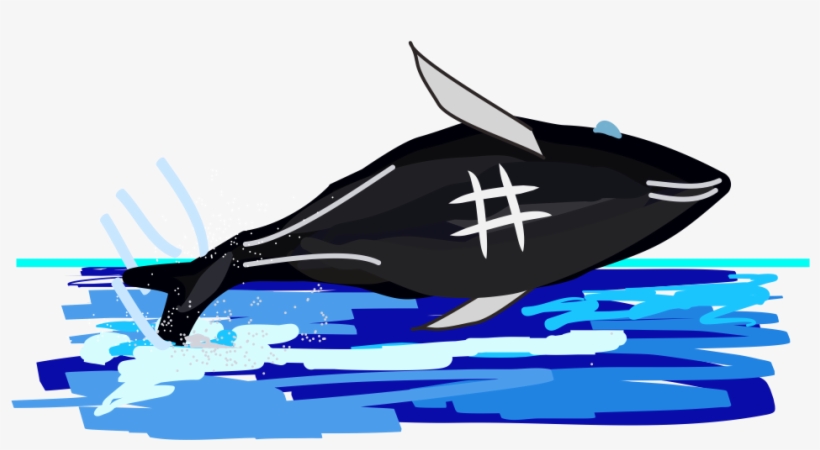 Hashtag The Humpback Whale - Whale, transparent png