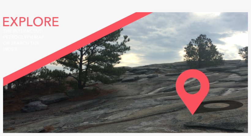 Stone Mountain Petroglyph Trail - Tree, transparent png