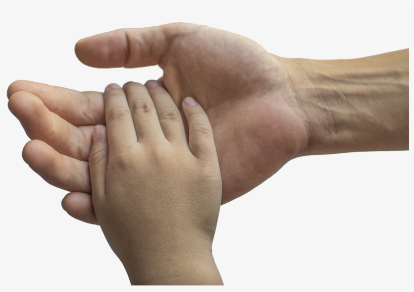 Pgc Consortium - Maos De Criança, transparent png