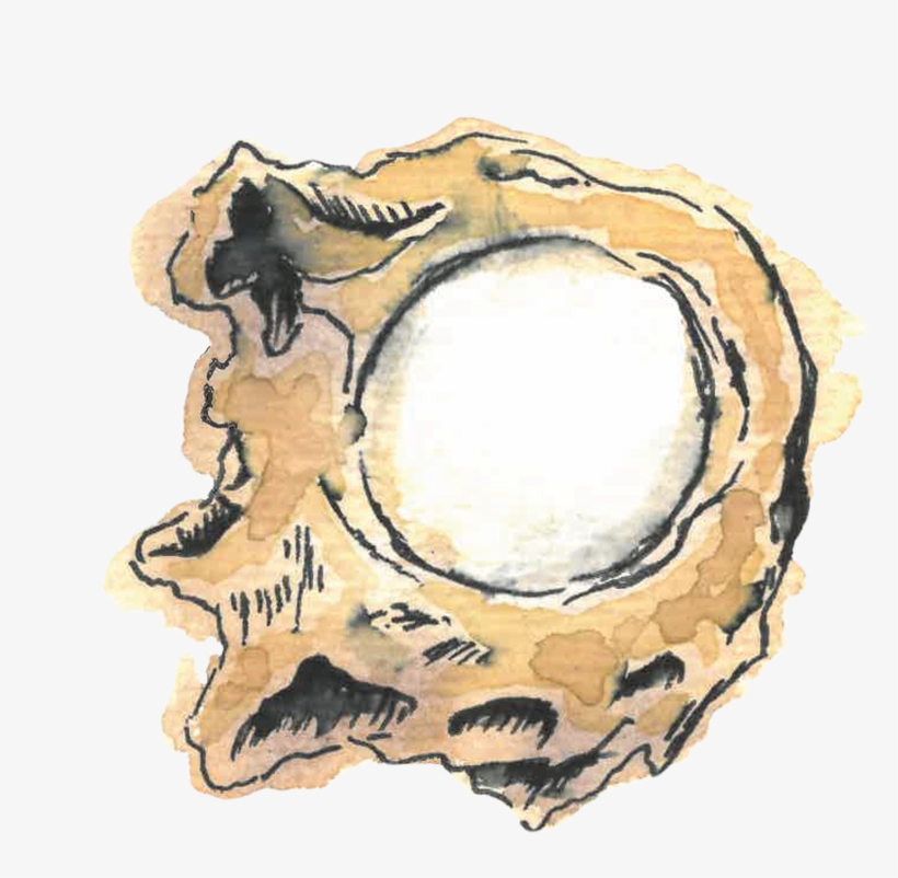 Sbc Ingredient Royaljelly Web - Sketch, transparent png