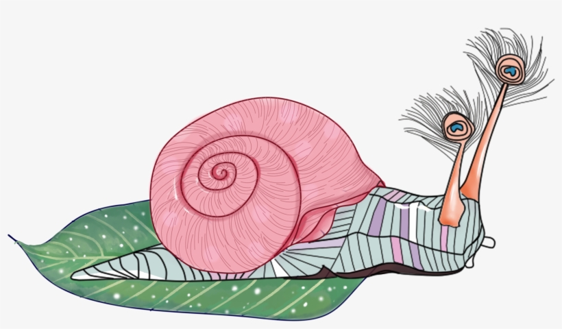 Snail Hand Drawn Animal Watercolor Png And Psd - Illustration, transparent png