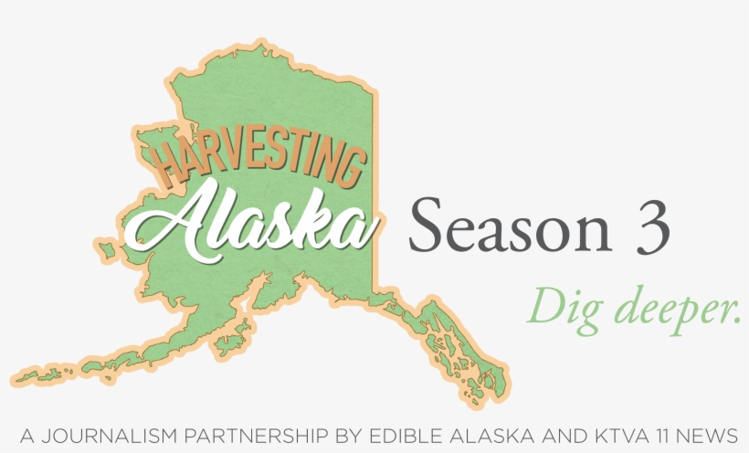 Harvesting Alaska - Calligraphy, transparent png