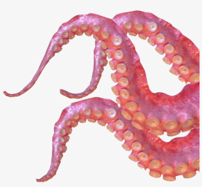 Tentacles Sticker - Giant Pacific Octopus, transparent png