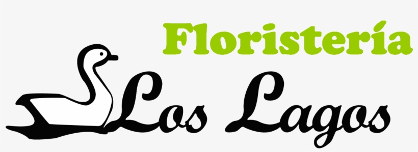 Floristería Los Lagos - Gandhimathi Appliances Ltd, transparent png