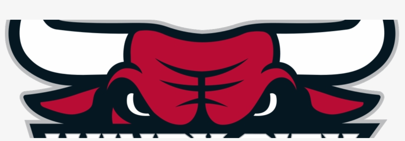 Are The Windy City Bulls For Real - Windy City Bulls Logo Transparent, transparent png
