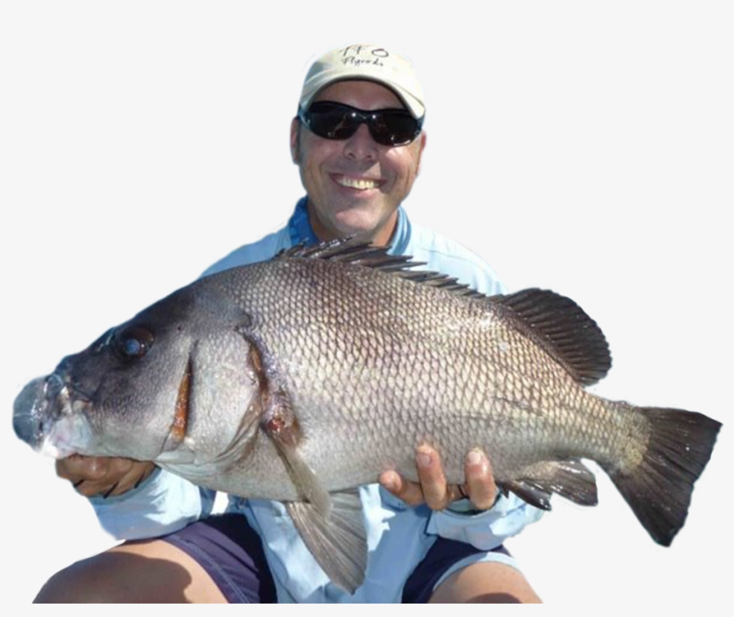 Andy Andysfishing - Pull Fish Out Of Water, transparent png