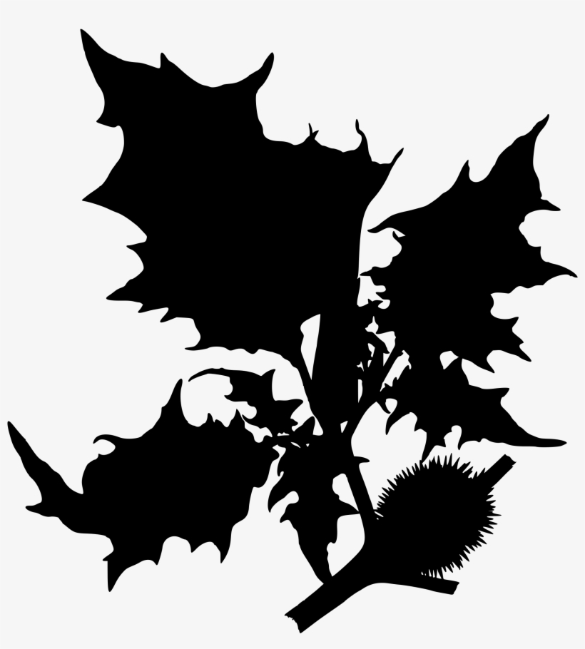 Big Image - Datura Stramonium, transparent png