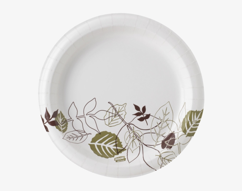 Dixie Ultra Sxp9path Pathways Wise Size Heavy Weight - 20 Oz Paper Bowls, transparent png