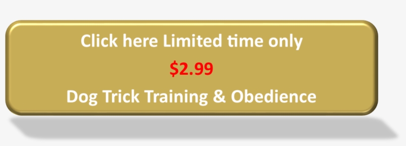 Gold Oblong Button - Motocyklowe, transparent png