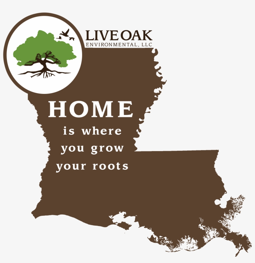 Contact Us - Map Of Louisiana, transparent png