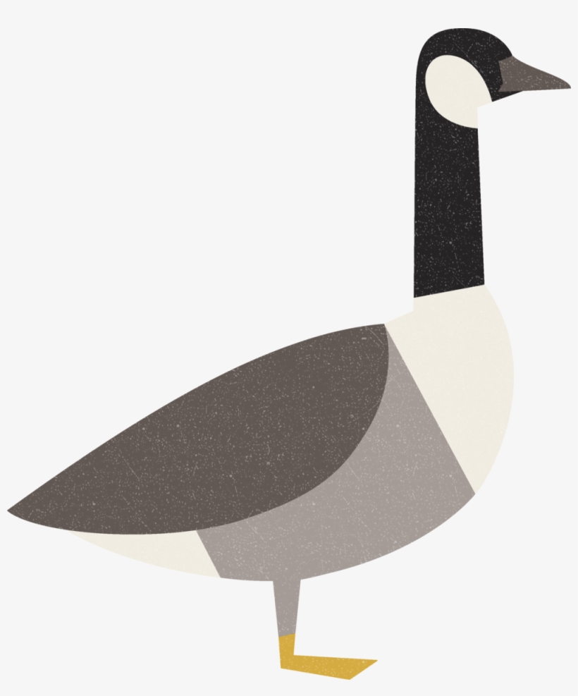 Image - Charley Harper Illustrator Goose, transparent png