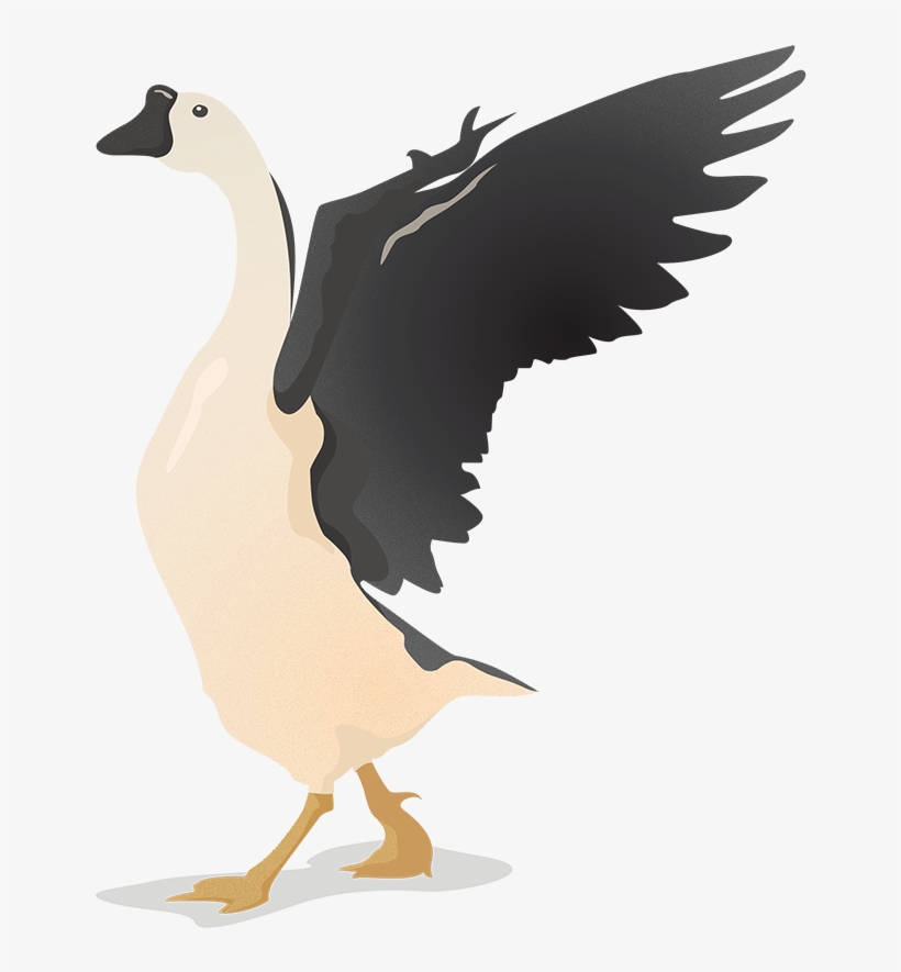 Flat Vector Birds - Goose, transparent png