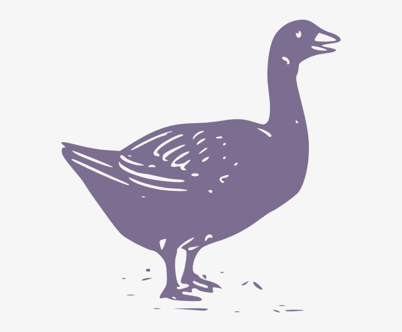 Small - Ganso Fazenda Png, transparent png