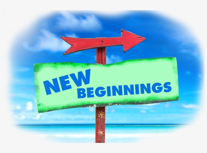 Affordable Divorce Documents Is A Non-lawyer Document - Federal University Of Health Sciences Of Porto Alegre, transparent png