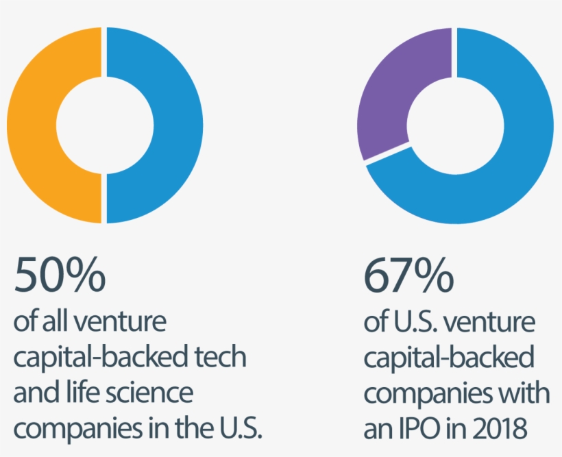 50% Of All Venture And Capital-backed Tech And Life - Hi Capital, transparent png