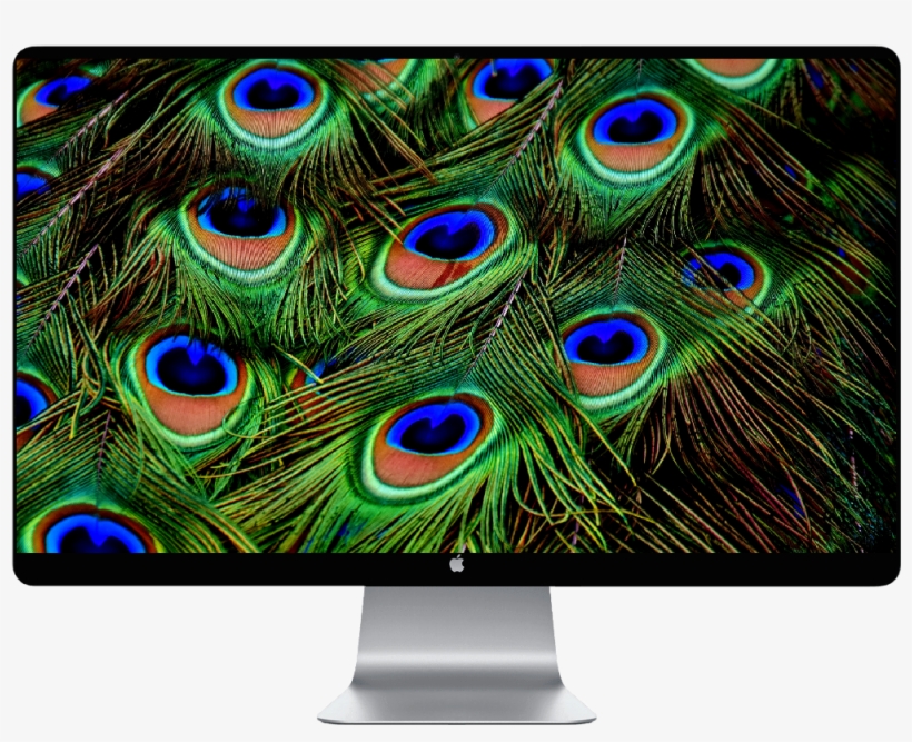 Score 50% - Peacock Feather, transparent png