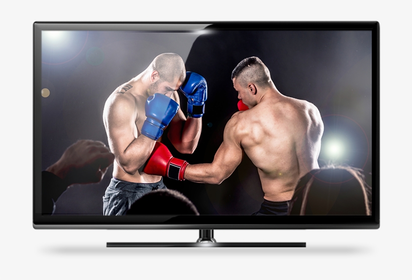 Get Boxing On Dish - Boxing On Tv, transparent png