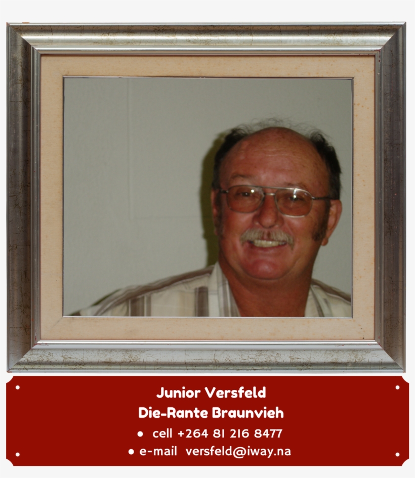 Download File - Picture Frame, transparent png