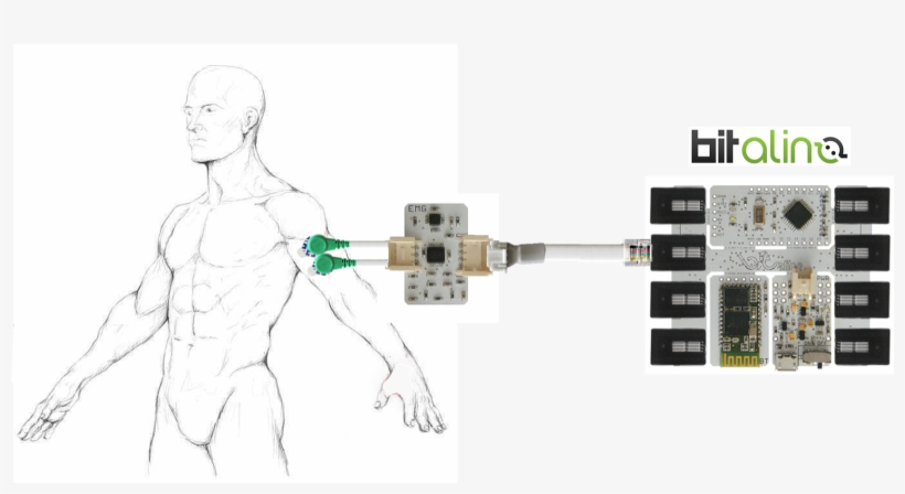 The Elaboration System, transparent png