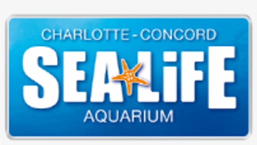 Green Sea Turtle Rescue 2016 At Sea Life [7 Images] - Sea Life Orlando Logo, transparent png