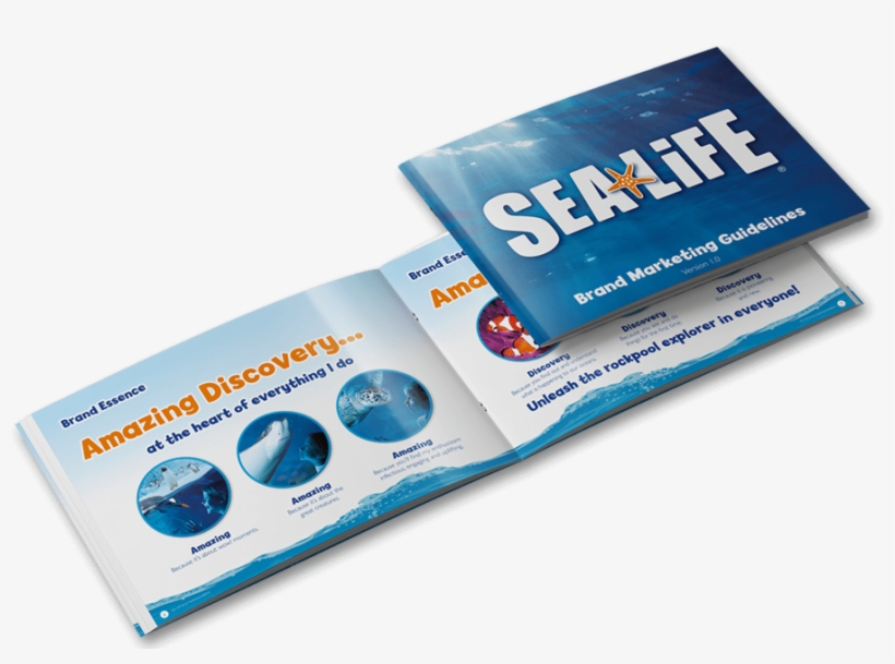 Sea Life Brand Guideline - Aquadom, transparent png