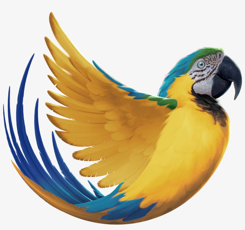 Sign Up To Join The Conversation - Macaw, transparent png