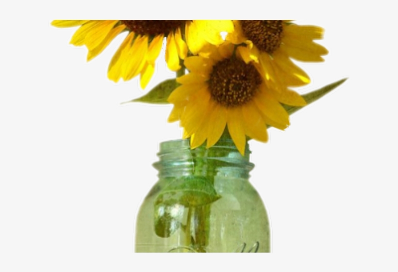 Drawn Mason Jar Sunflower Png - Sunflower In Mason Jar Png, transparent png