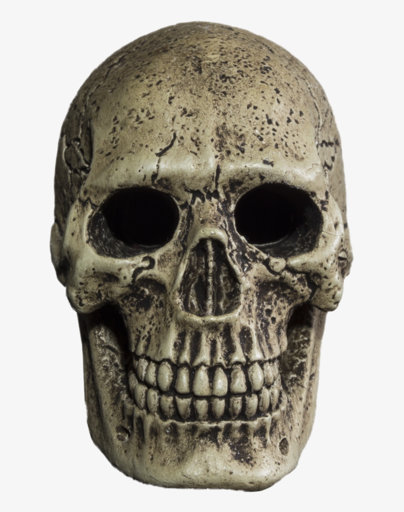 Skull Png - Skull, transparent png