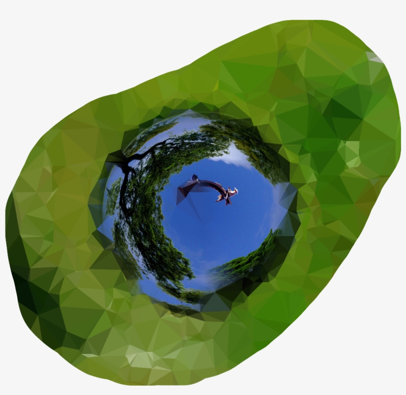 Aguacate Sticker - Reflection, transparent png
