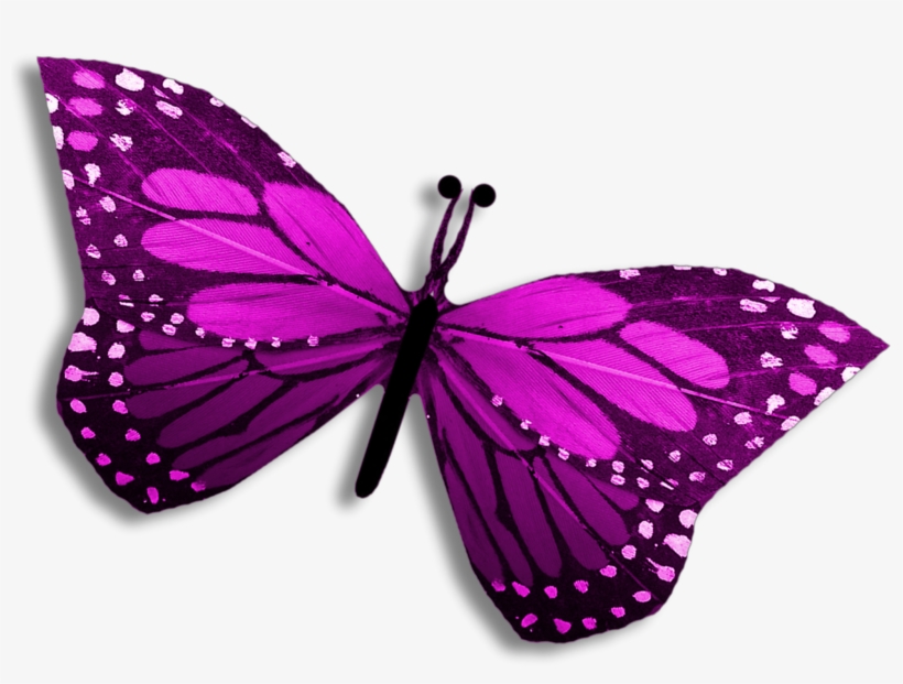 Purple Clipart Editing Picsart Butterfly Pretty Clipart - Swallowtail Butterfly, transparent png