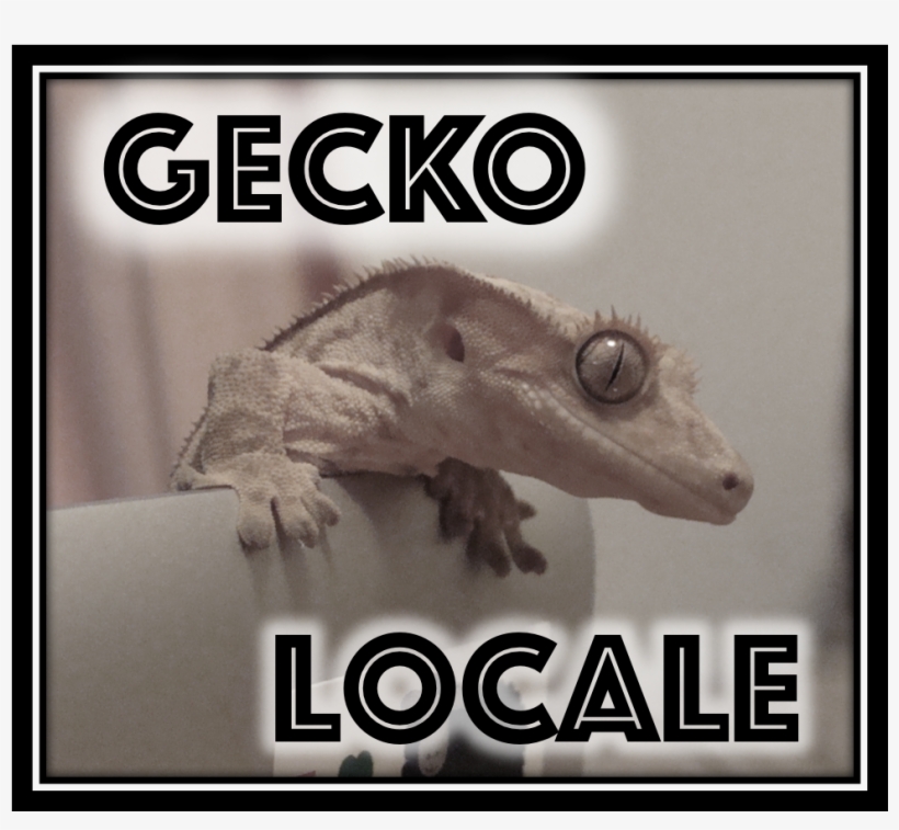 About Gecko Locale - Fotobudka, transparent png