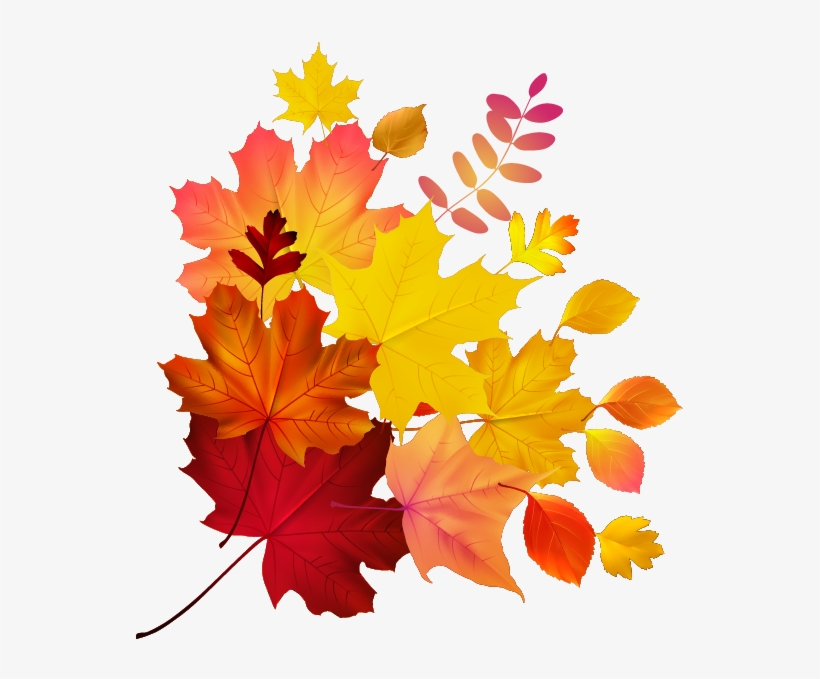 Autumn Color Leaf Maple Royalty-free Download Hq Png - بصيغة Png ملايين Hd Png, transparent png