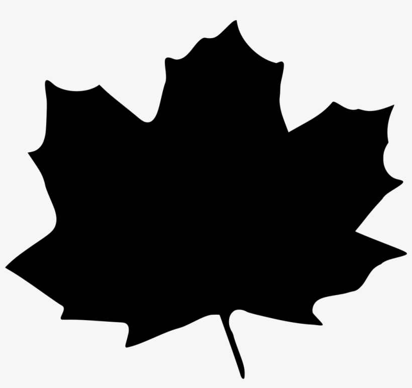 Download Png - Yellow Maple Leaf Clipart, transparent png