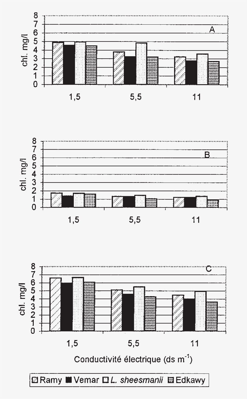 Teneur De 4 Génotypes De Tomate En - Technical Drawing, transparent png