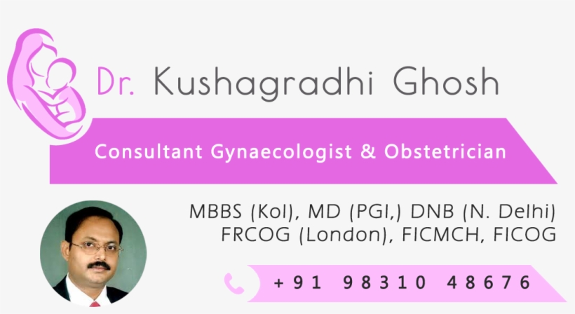 Attached To - Colorfulness, transparent png