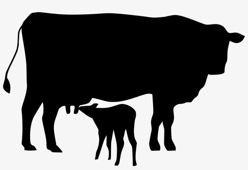 Download Png - Cattle, transparent png
