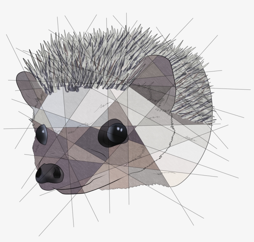 Geometric Hedgehog @poppy-hedgie $20 Geometric Commissions - T-shirt, transparent png
