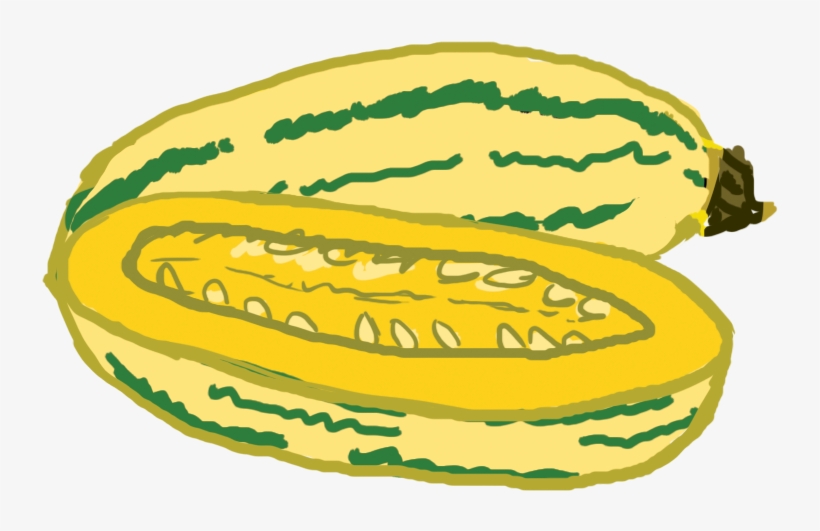 760 X 501 3 - Zucchini, transparent png